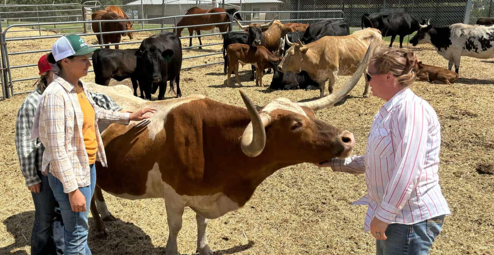 Goldendale Rodeo Bible Camp